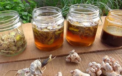 Thực hư về dùng tam thất làm giảm khả năng tình dục và sinh sản