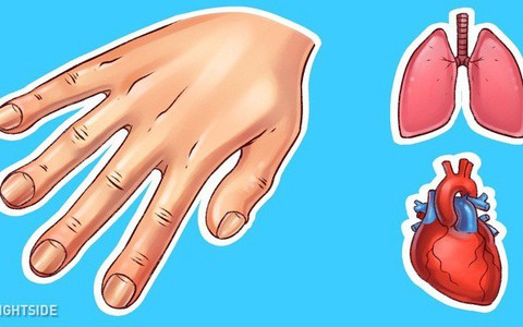 Dấu hiệu ở tay cũng có thể chỉ ra một số vấn đề về sức khỏe, đừng bao giờ bỏ qua dấu hiệu thứ 4