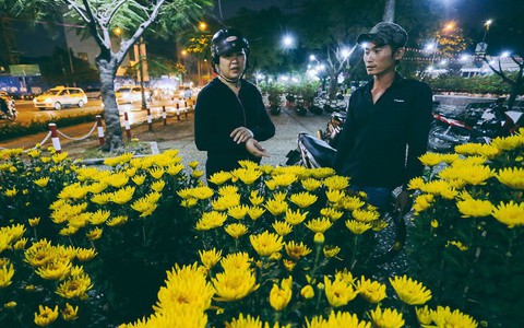 Người bán hoa Tết nghẹn lòng kể chuyện bị ép giá ngày 30: “Mong mọi người hãy bỏ tâm lý mua hoa giờ chót"