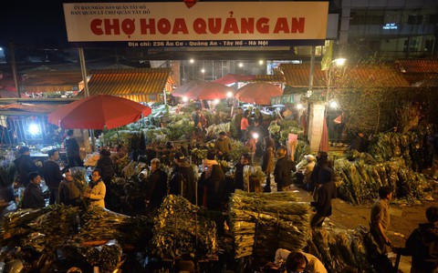 Chợ hoa Quảng An tấp nập đêm trước Giao thừa