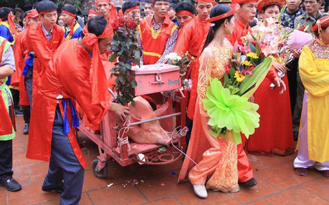 Lễ chém lợn ở Ném Thượng: Sau khi đưa rước quanh làng, hai "ông Ỉn" được đem vào nơi kín đáo để “trảm”