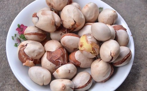 10 lý do thuyết phục bạn nên ăn hạt mít