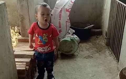Dõng dạc đứng cãi nhau tay đôi với chó, cậu bé khiến cư dân mạng thích thú vì quá đáng yêu
