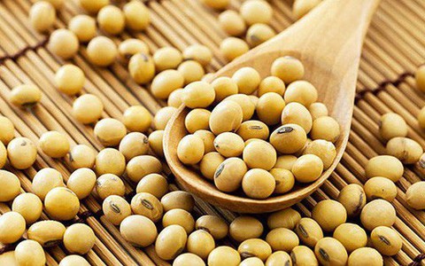 Nếu bạn đang đau đầu vì chứng rụng tóc, hãy thử sử dụng các thực phẩm sau