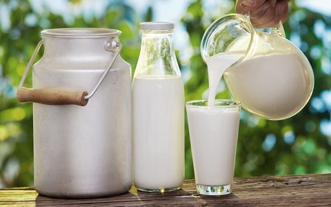 Sữa dê: Những lợi ích sức khỏe và làm đẹp siêu tốt không nên bỏ qua