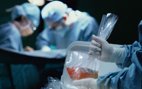 Chăm sóc sức khỏe ở người hiến tặng tạng và người nhận tạng không được bỏ qua những điều này