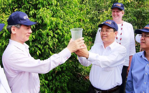 Lần đầu tiên tại Việt Nam, hàng trăm gia đình ở đất liền chấp nhận thả muỗi vằn mang vi khuẩn để… ngăn ngừa dịch bệnh