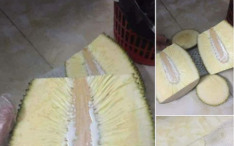 Vì cuộc đời là những dối lừa: Anh chàng đi mua mít chiều bạn gái, tưởng mua được mít không hạt giá hời ai ngờ toàn xơ