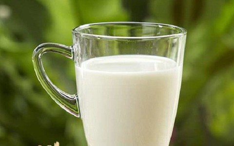 Sữa thừa đừng đổ bỏ mà hãy đem tưới cây, kết quả bạn có được sẽ ngoài sức tưởng tượng