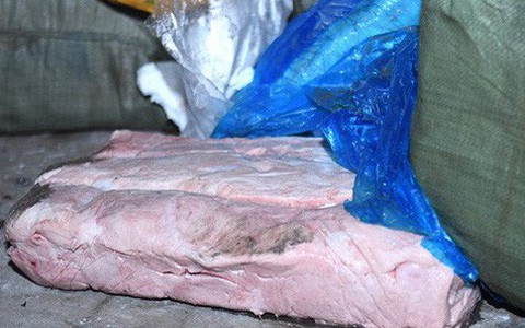 Cận cảnh hơn 10 tấn nầm lợn bốc mùi hôi bị bắt giữ và tiêu hủy ở Hà Nội
