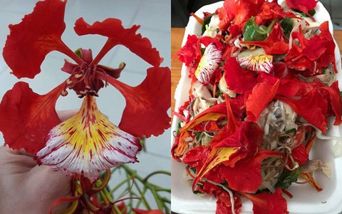 Cô gái khoe món "ăn cả tuổi thơ, gói cả mùa hè" với hoa phượng khiến hội mê ẩm thực tròn mắt ngạc nhiên