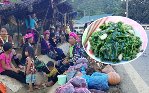 Lá ngón xào tỏi - món ăn khiến nhiều người khiếp vía khi nghe tên, vừa ăn vừa run rẩy nhưng lại là đặc sản