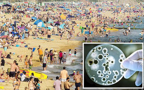 Gần 100 người đi bơi ở bãi biển bị nhiễm loại virus này: Lời cảnh báo dành cho cả những người đi bơi ở bể bơi