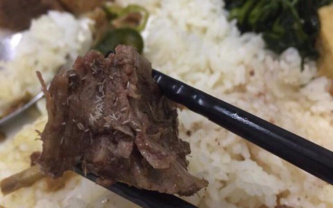 Ăn cơm bụi ngoài hàng, chàng trai hốt hoảng gắp phải miếng giả cầy có giòi bò lúc nhúc