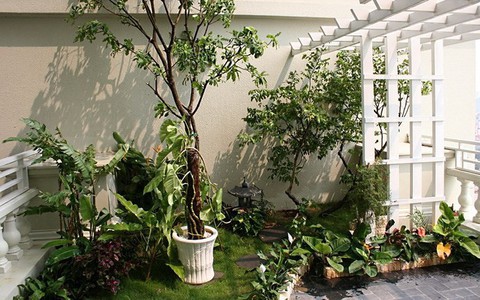 Căn hộ tầng 7 tận dụng khoảng không làm vườn treo