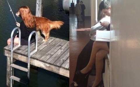 16 bức ảnh nhìn đi nhìn lại vẫn thấy sai sai: Thanh niên trai tráng thì chân nuột hơn cả con gái, còn chó lại biết câu cá thư giãn