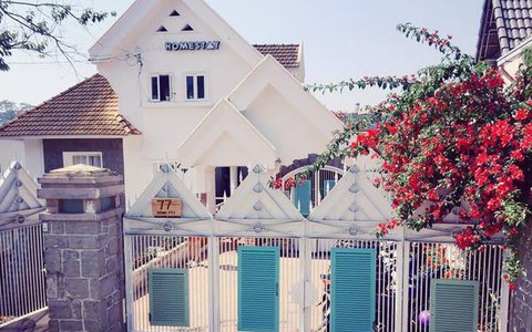 Những căn nhà mộng mơ giữa Đà Lạt khiến ai cũng muốn 1 lần được rời xa phố thị ồn ào để về đây "ở ẩn"