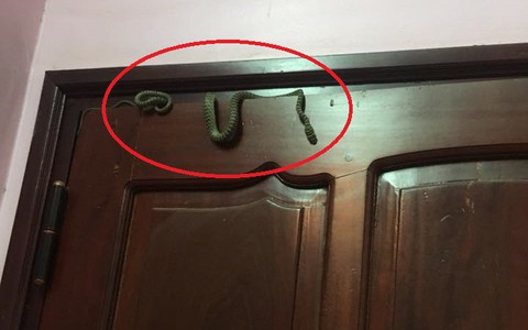Gặp cảnh kinh dị lúc nửa đêm, cô gái không nao núng mà còn làm hành động này khiến cánh mày râu cũng phải ngưỡng mộ