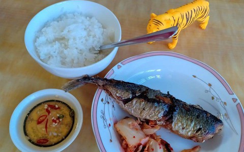Đang bữa cơm chồng rủ vợ con đi sở thú, mẹ chồng ở bên liếc xéo "nhà có con cọp rồi, cần gì đi đâu"