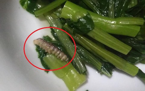 Lần đầu ra mắt nhà người yêu chỉ làm rau luộc, cô gái "đứng hình" khi cả nhà ăn gần hết bỗng thấy thứ này