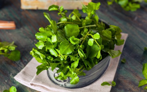 Vô vàn lợi ích từ loại rau này được chuyên gia Đông y nhấn mạnh và khuyên đừng bỏ qua vào mùa đông này