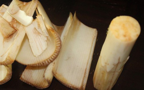 Bài thuốc chữa bệnh tiểu đường, thoát vị đĩa đệm, sỏi thận từ cây chuối hột có thực sự lợi hại như nhiều người truyền miệng?