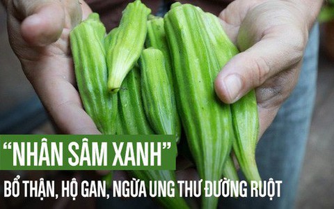 Loại quả phổ biến ở VN được gọi là "nhân sâm xanh" bổ thận hàng đầu, tốt cho gan, dạ dày