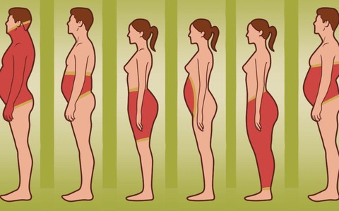 Muốn giảm béo nhanh thì phải biết áp dụng biện pháp giảm mỡ thừa theo từng loại hình cơ thể như này