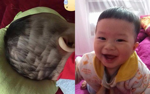 Những quả đầu ruộng bậc thang, bát tô úp do mẹ tự tay cắt tóc cho con diện Tết khiến ai nấy không thể nhịn cười