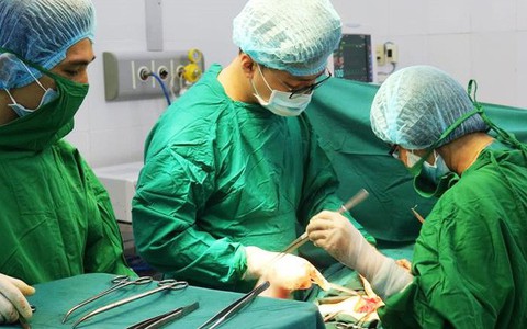 Chữa u xơ tử cung bằng lá cây trinh nữ hoàng cung, người phụ nữ trướng bụng như mang bầu