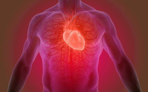 9 dấu hiệu cho thấy bạn có thể mắc bệnh van tim