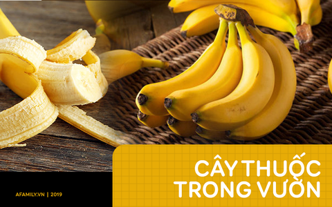 Không chỉ là loại quả tráng miệng đơn thuần, thứ quả vàng được trồng nhiều ở các làng quê Việt này còn chữa ti tỉ bệnh