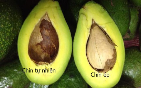 5 mẹo nhỏ giúp bạn phân biệt cực chuẩn bơ sạch và bơ ngâm tẩm hóa chất 