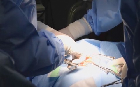 Bé 3 tuổi nhỏ nhất Việt Nam mắc ung thư tuyến giáp di căn