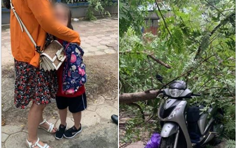 Hà Nội: Mẹ chở con gái đi học bất ngờ bị cành cây rớt xuống đè trúng xe, may mắn thoát chết