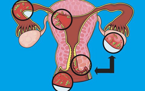 Những dấu hiệu ngầm tiết lộ cho chị em biết đây là những ngày có khả năng thụ thai cao nhất
