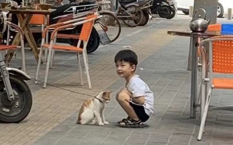 Ngày nào con trai cũng đi học về muộn, bố mẹ tò mò tìm hiểu thì bất ngờ với cảnh tượng trên đường phố