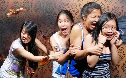 Khảo sát mới cho thấy người Singapore sợ gián hơn cả sợ chết