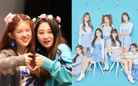 Công ty MOMOLAND lại tạo drama: Lơ đẹp vụ 2 idol nghi bị ép ăn giòi, đăng đàn thừa nhận nhóm chỉ có 7 người?