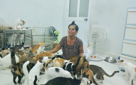 "Bà mẹ" của 400 chú mèo bị tai nạn cũng không dám đi viện vì muốn để dành tiền mua thức ăn cho "các con", bật khóc tức tưởi khi người khác gièm pha là... đi bắt trộm mèo