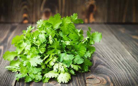 Rau mùi rất tốt nhưng “đại kị” khi kết hợp với những thực phẩm này bởi có thể là nguồn nuôi tế bào ung thư