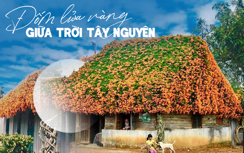 Xôn xao thông tin giàn hoa xác pháo phủ khắp ngôi nhà nổi tiếng ở Bảo Lộc bị “vác” về Hà Nội với giá 16 triệu đồng!?