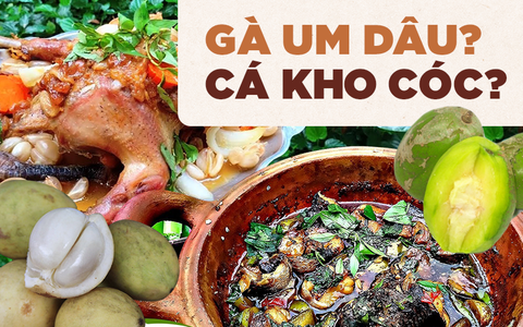 Dùng trái cây để nấu canh, kho thịt... những món ăn tưởng chừng kỳ lạ mà ngon mê mệt ở miền Tây sông nước 