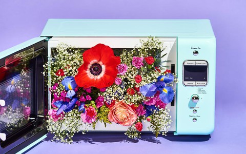 Ngoài chức năng hâm nóng thức ăn, lò vi sóng còn làm được 10 điều siêu hay ho này mà đảm bảo bạn không hề biết