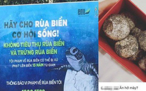 Cô gái bị tố mua trứng rùa biển rồi luộc ăn, không quên khoe trên Instagram khi du lịch Côn Đảo khiến nhiều người phẫn nộ