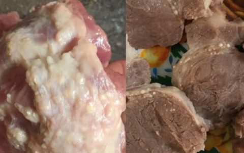 Cho trẻ ăn 'thịt bẩn, gà thối', còn điều bất lương gì những con quỷ đội lốt người kia không dám làm?