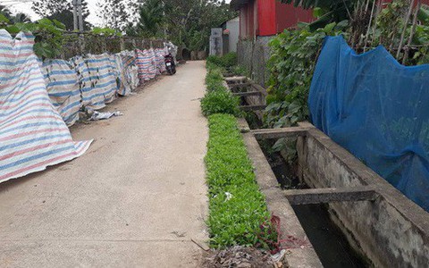 Vụ người phụ nữ đi tập thể dục bị sát hại: Công an thông tin về nghi vấn nhân chứng chính là hung thủ