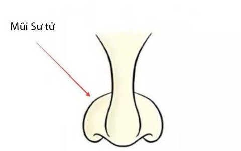 Phụ nữ sở hữu 3 tướng mũi này thì cả đời không lo cơm áo gạo tiền, hậu vận không những giàu có mà còn sung túc viên mãn