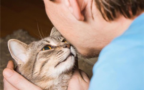 Cậu bé được chẩn đoán mắc bệnh tâm thần chỉ sau một lần bị mèo cào