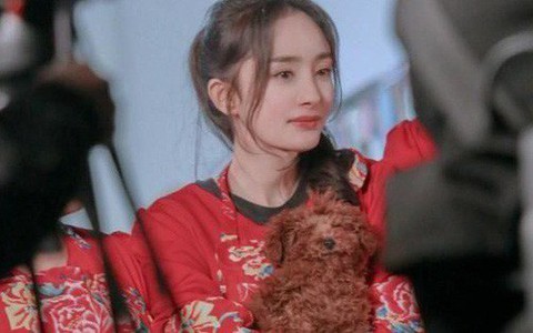 Lụa đẹp nhờ người: Dương Mịch đánh bật Trương Hinh Dư, nhận cơn mưa lời khen khi diện "chăn con công" huyền thoại
